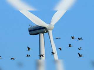 WION Climate Tracker: Argentina: Windmills could kill birds