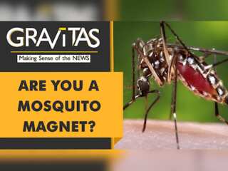 Gravitas: Do you get bitten by mosquitoes more than others?