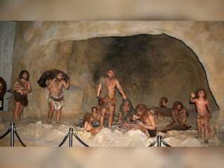 New findings shed light on the social organisation of Neanderthals