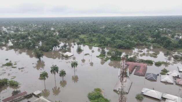 WION Climate Tracker: Nearly 600 killed in Nigeria floods, rescue operations underway