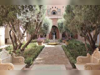 WION Climate Tracker: Garden of plants and artworks in Morocco
