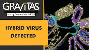 Gravitas: New Hybrid virus detected