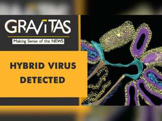 Gravitas: New Hybrid virus detected