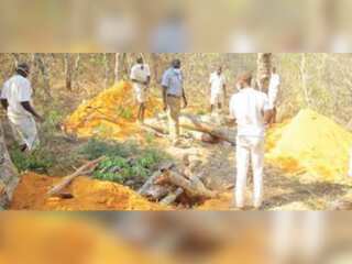 30 decomposed bodies discovered at Mtangatanga forest reserve