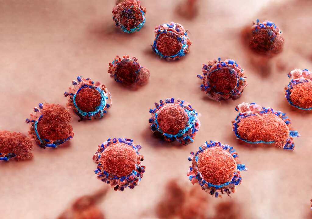 XBB strain detected in 17 countries: Is there a need for variant specific booster vaccines?