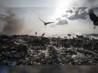 WION Climate Tracker: Kenya becomes the dumping ground for textile waste