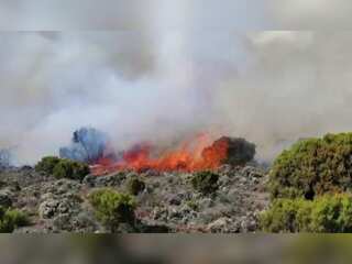WION Climate Tracker: Wildfire continues on Mount Kilimanjaro