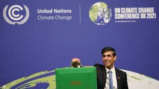 UK: PM Rishi Sunak will not attend COP27 climate summit to focus on domestic issues