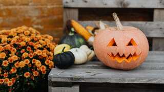 Halloween 2022: History, significance, facts and much more