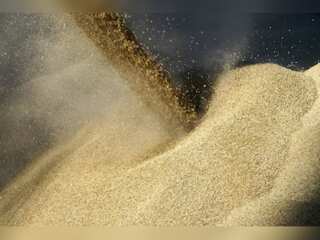 Russia comes out of Ukraine grain deal after Sevastopol drone attack