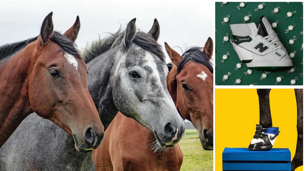 These sneakers are for your horses: Spend $1,200 for your fashionista stallions