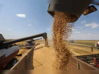 12 ships with over 350,000 tons of grain leave Ukrainian ports despite Russian pull-out