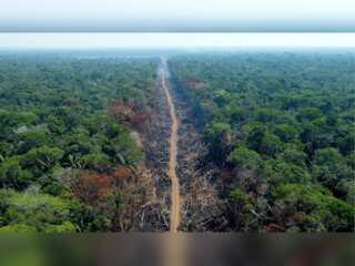 WION Climate Tracker: Will change in Brazil's leadership save the Amazon forest?