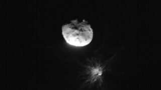 Asteroid capable of having a 'devastating impact on life' on Earth discovered