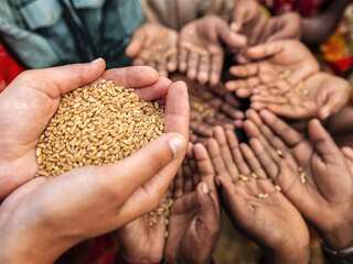 Food prices soar, so do companies' profits; Who is benefitting from food inflation?