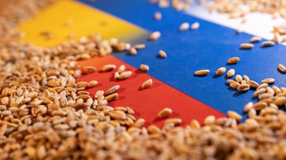 Russia resumes support for Ukraine’s grain corridor as Turkey guarantees shipments to Africa first