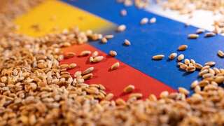 Russia resumes support for Ukraine’s grain corridor as Turkey guarantees shipments to Africa first