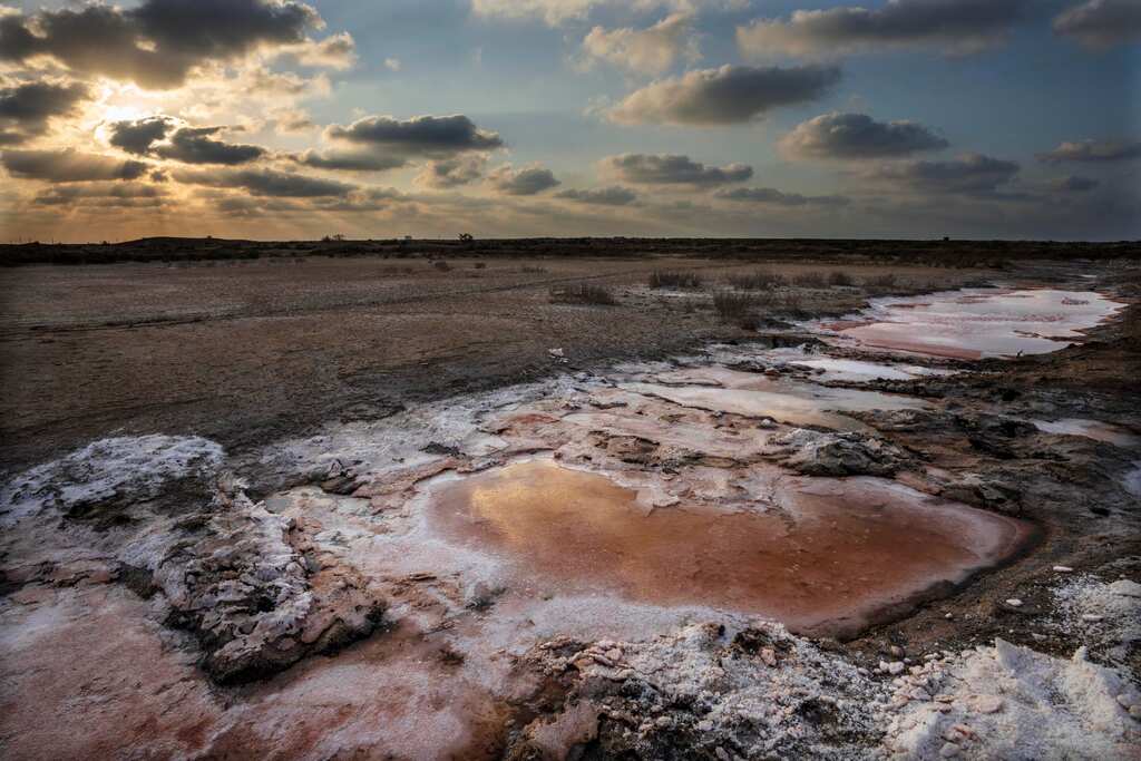 WION Climate Tracker: Climate change threatens Egypt's fertile Nile Delta