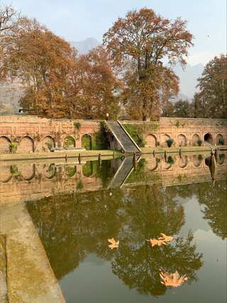 India: Tourists arriving in thousands to witness the fall in Kashmir valley