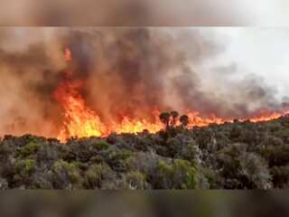 WION Fineprint | Wildfire continues to rage on Mount Kilimanjaro