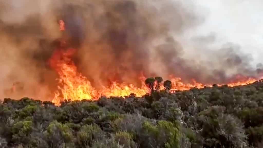 WION Fineprint | Wildfire continues to rage on Mount Kilimanjaro