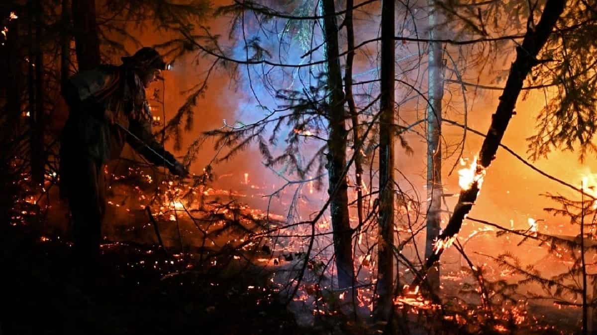 Summer wildfires in the Arctic may become more frequent than ever: Study Summer wildfires in the Arctic may become more frequent than ever: Study