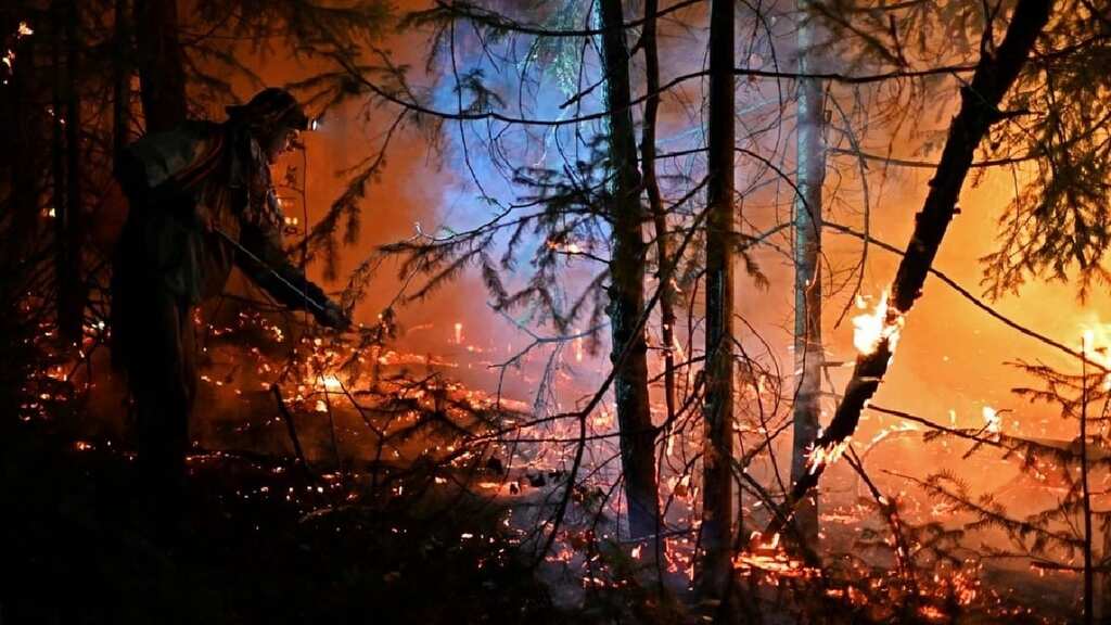 Summer wildfires in the Arctic may become more frequent than ever: Study