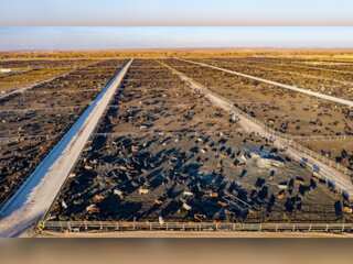 WION Climate Tracker: A way to cut UK’s methane emissions by 2030