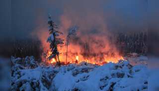 WION Climate Tracker: A warm Arctic, wracked by wildfires