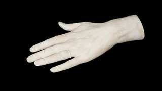 Reports: Rare life-size cast of Princess Diana’s left hand with wedding ring up for auction