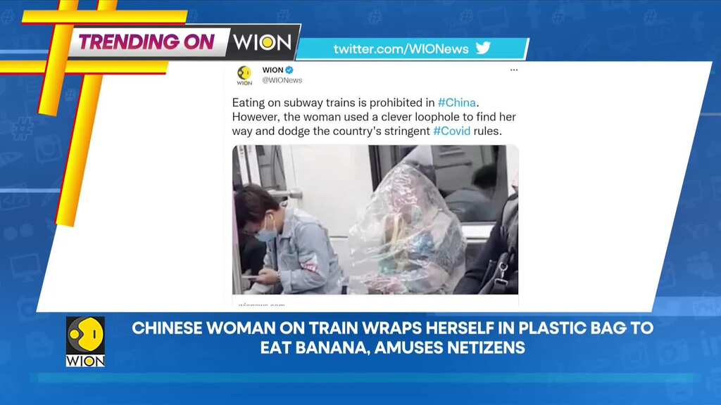 Trending on WION: Climate activists target two Goya paintings in Spain