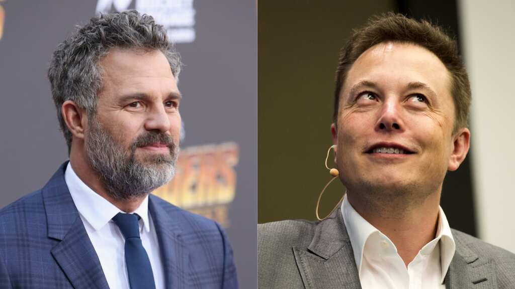 Mark Ruffalo asks Elon Musk to get off Twitter: ‘You are destroying your credibility’