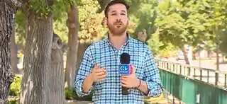 Watch | Parrot steals journalist's earpod during live broadcast leaves netizens laughing