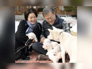 WION Fineprint | Former South Korean President wants to return North Korean puppies