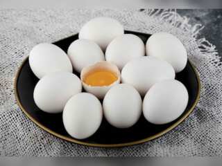 WION Climate Tracker: Eggs can remove salt & microplastics from seawater?