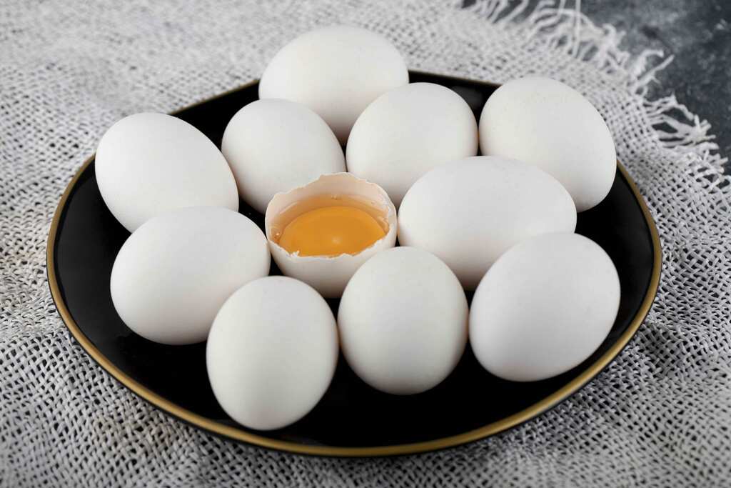 WION Climate Tracker: Eggs can remove salt & microplastics from seawater?