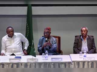 Ethiopian government and Tigrayan forces launch hotline