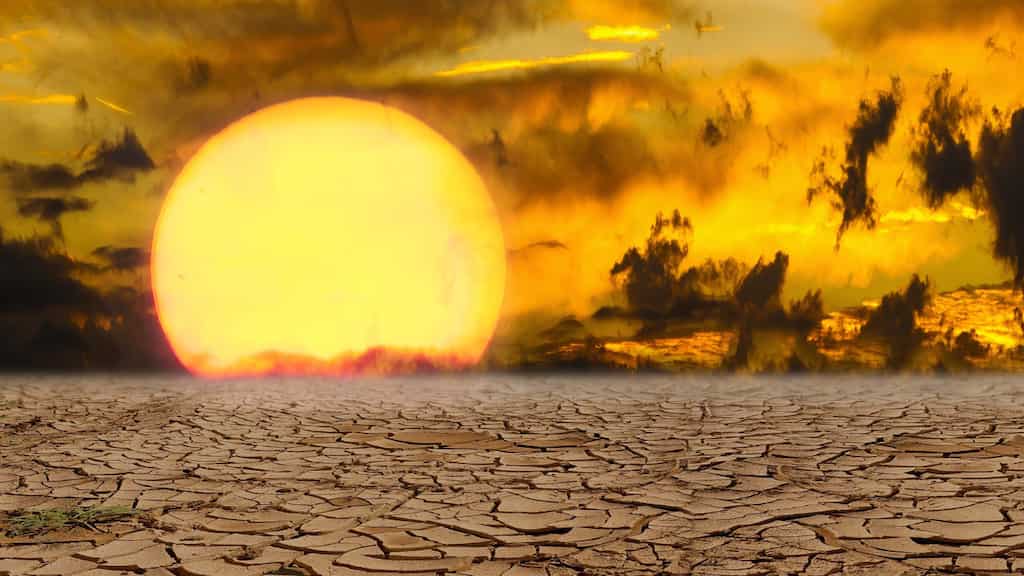 By 2100 in Europe, 90,000 people will die due to hot weather, warns European Environment Agency