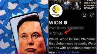 Stunning U-turn: Maverick Musk says 'killed' Twitter's 'official' label, just hours after rollout and hype