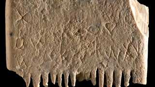 The oldest known sentence is possibly written on this ancient lice comb
