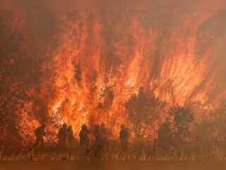 WION Climate Tracker | Heatwaves to wipe out 90,000 Europeans by 2100