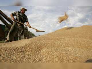 Russia-Ukraine War: No breakthrough in grain deal talks; UN urges Moscow to renew fertiliser deals