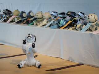 Japan: Ceremony to celebrate growth of children, dog owners pray for health of mechanical pet
