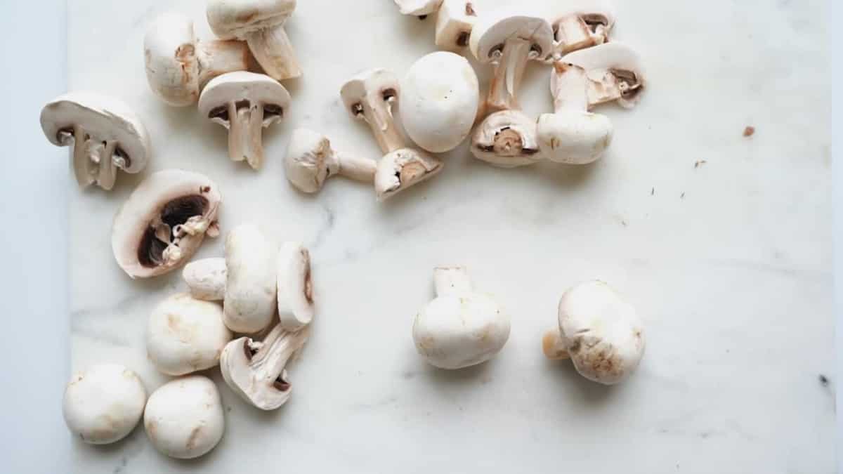 US: After Oregon, Colorado also votes to decriminalise 'magic mushroom' 