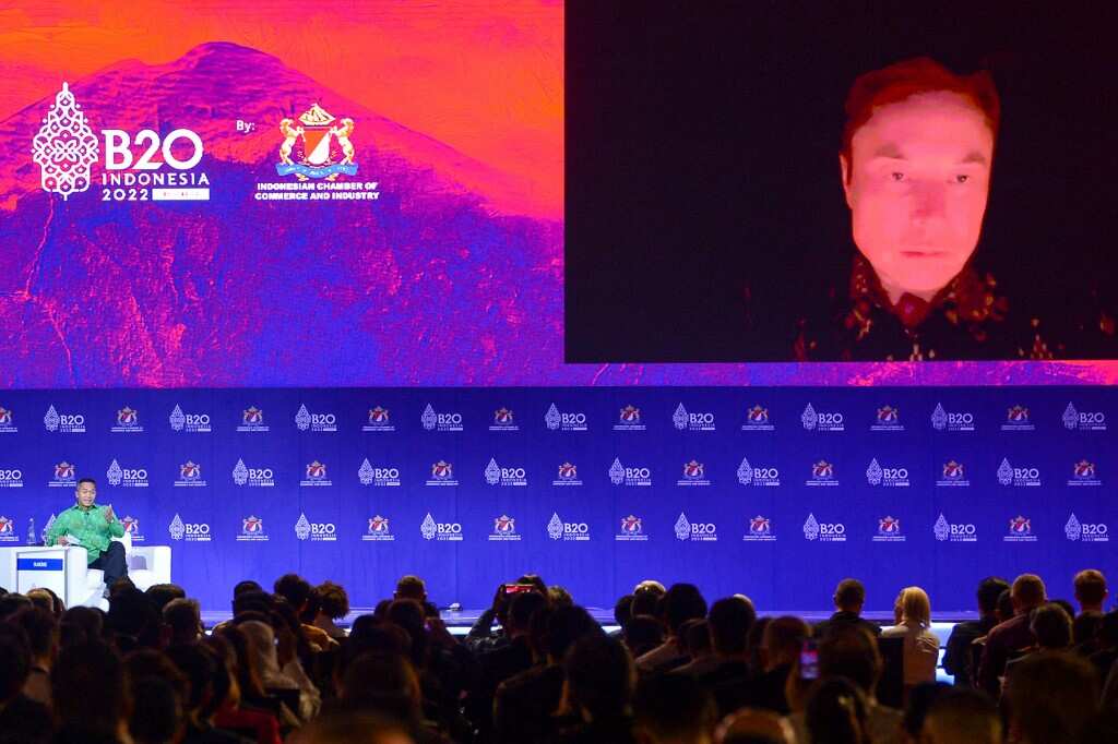 'Working morning till night, seven days a week', Musk tells B20 meet as he continues to fire staff