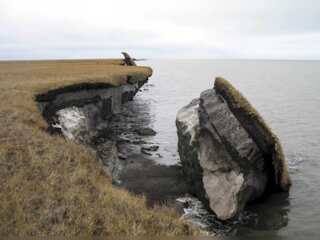 WION Climate Tracker | Thawing permafrost exposes old trapped pathogens