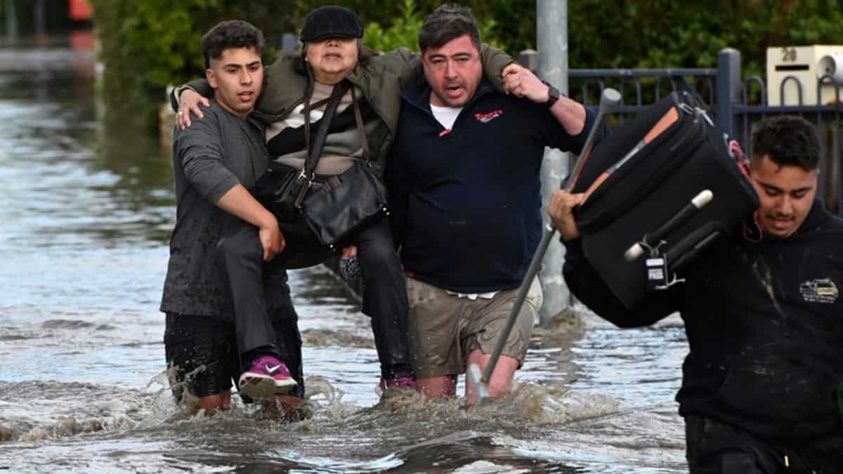 Knee-length floods in Molong