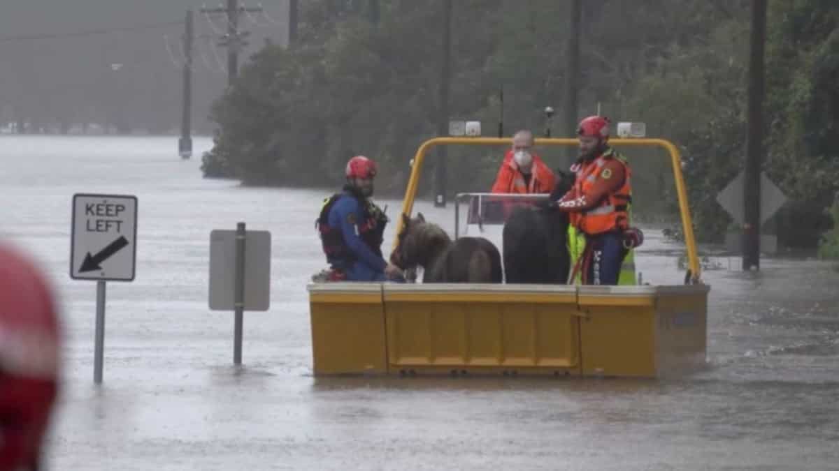 Australia Flash Floods Thousands Stuck Evacuated World News