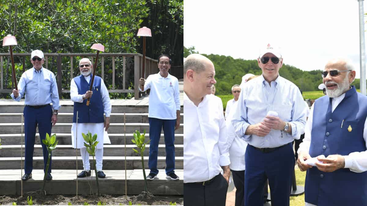 India part of the Mangrove Alliance for Climate (MAC) initiative