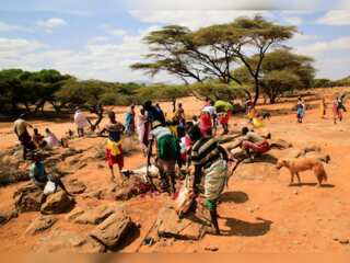 WION Climate Tracker: Kenyan farmers endure painful drought, battling it for four years now